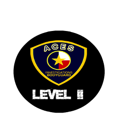 level ii security training