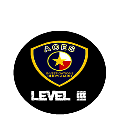 level iiI security training