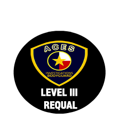 level-III-REQUAL-security-training